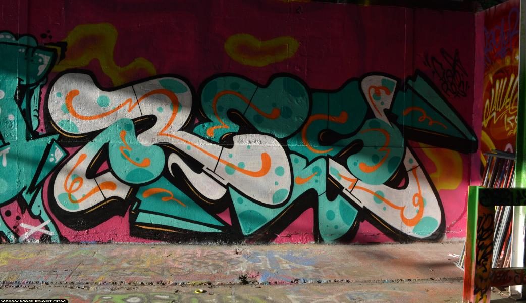 Graffiti de Res à L'Aérosol Paris (25 février 2018)