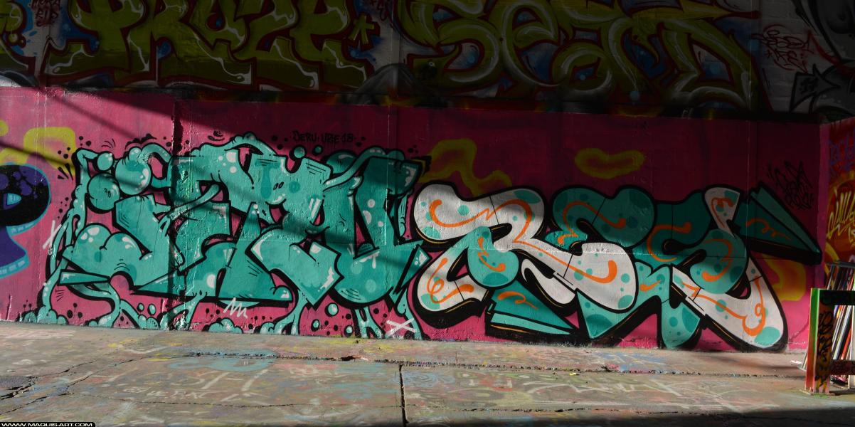 Graffiti à L'Aérosol Paris (1 mars 2018)