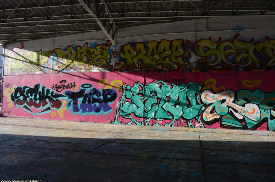 Res - Artiste Graffiti au Wall of Fame L'Aérosol