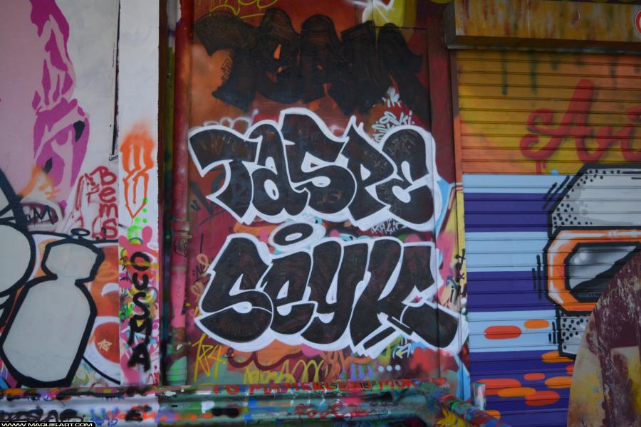 Graffiti de Seyck et Taspe à L'Aérosol Paris (1 mars 2018)