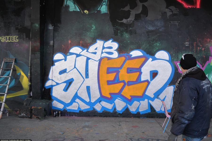 Graffiti de Sheed16 à L'Aérosol Paris (1 mars 2018)