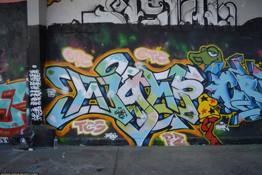 Graffiti de High1 à L'Aérosol Paris (1 mars 2018)