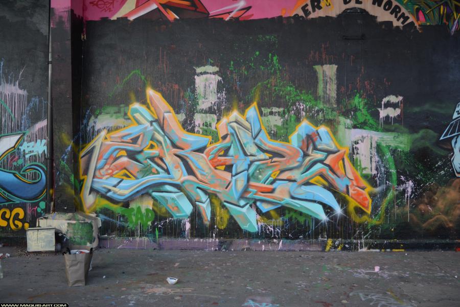 2rode - Artiste Graffiti au Wall of Fame L'Aérosol