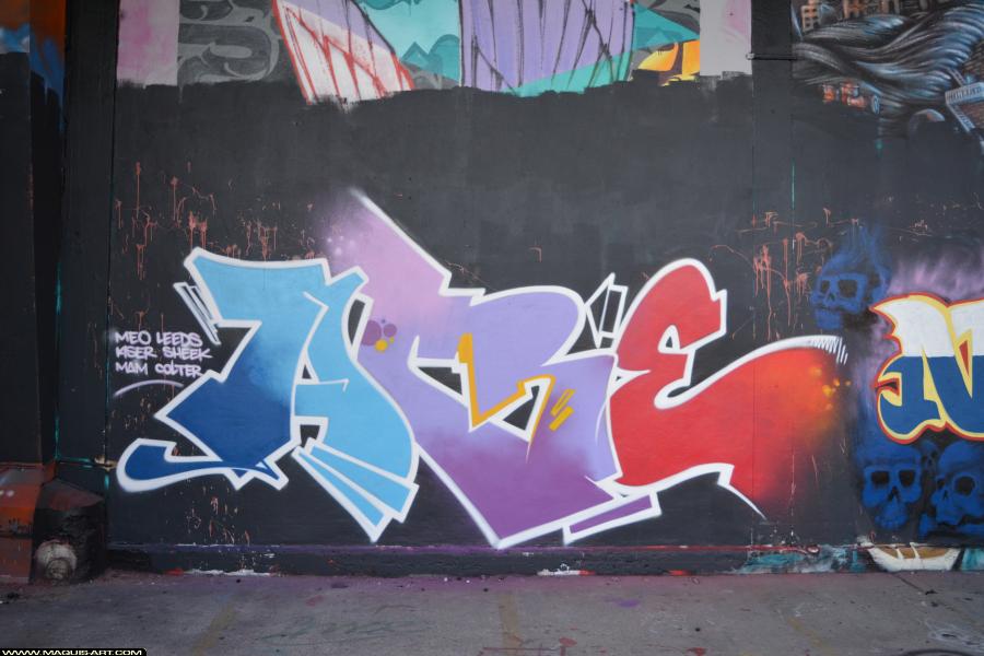 Acre - Artiste Graffiti au Wall of Fame L'Aérosol