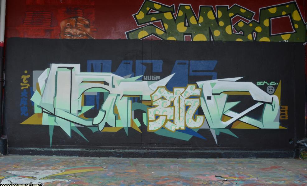 Tacos - Artiste Graffiti au Wall of Fame L'Aérosol