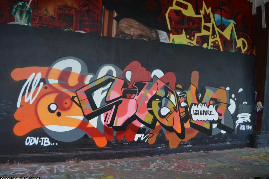 Graffiti de Shane à L'Aérosol Paris (2 mars 2018)
