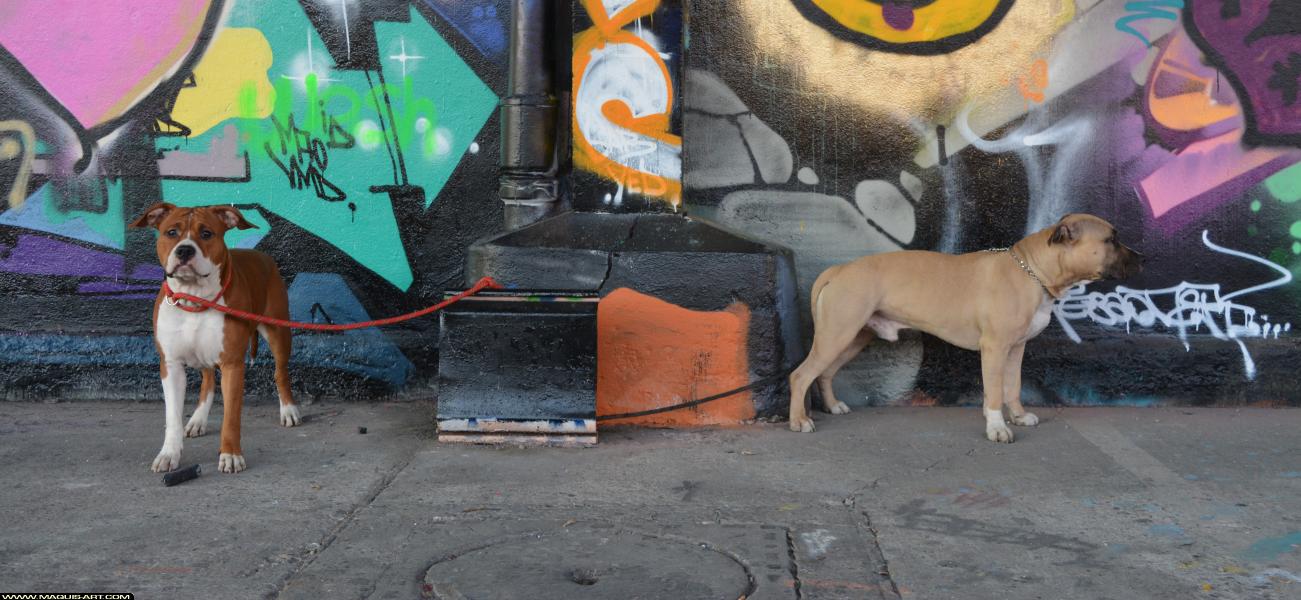 Graffiti de ??? à L'Aérosol Paris (2 mars 2018)