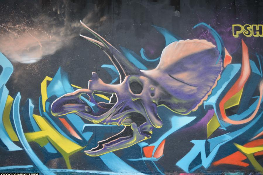 Graffiti de Raphe à L'Aérosol Paris (2 mars 2018)