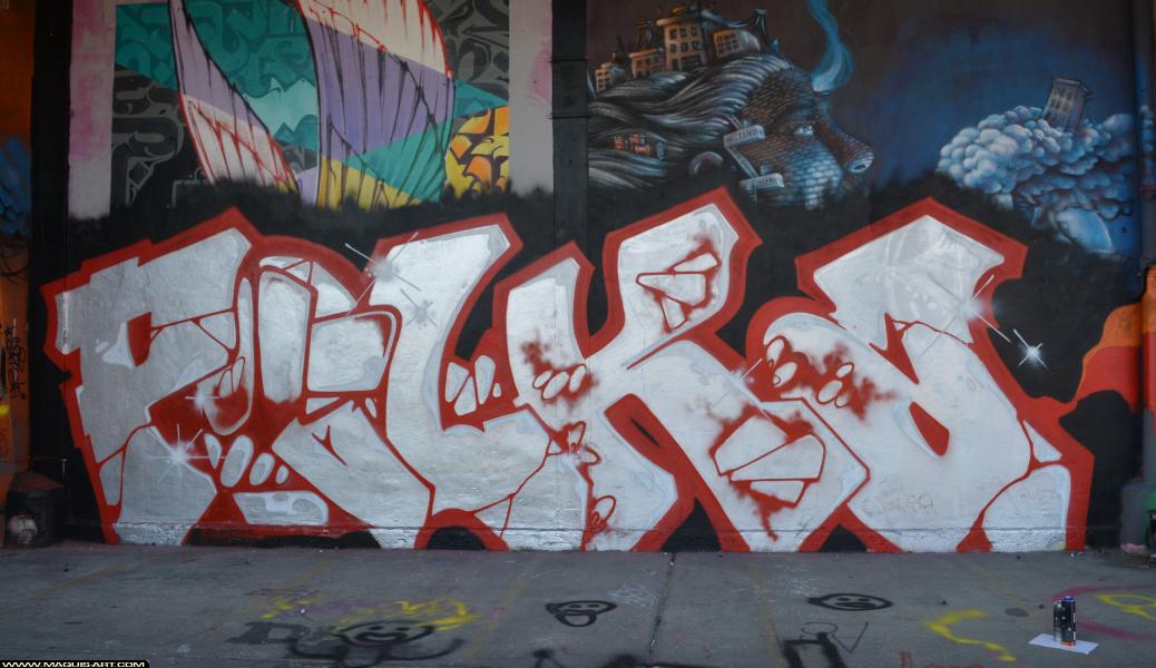 Graffiti de Polka à L'Aérosol Paris (2 mars 2018)