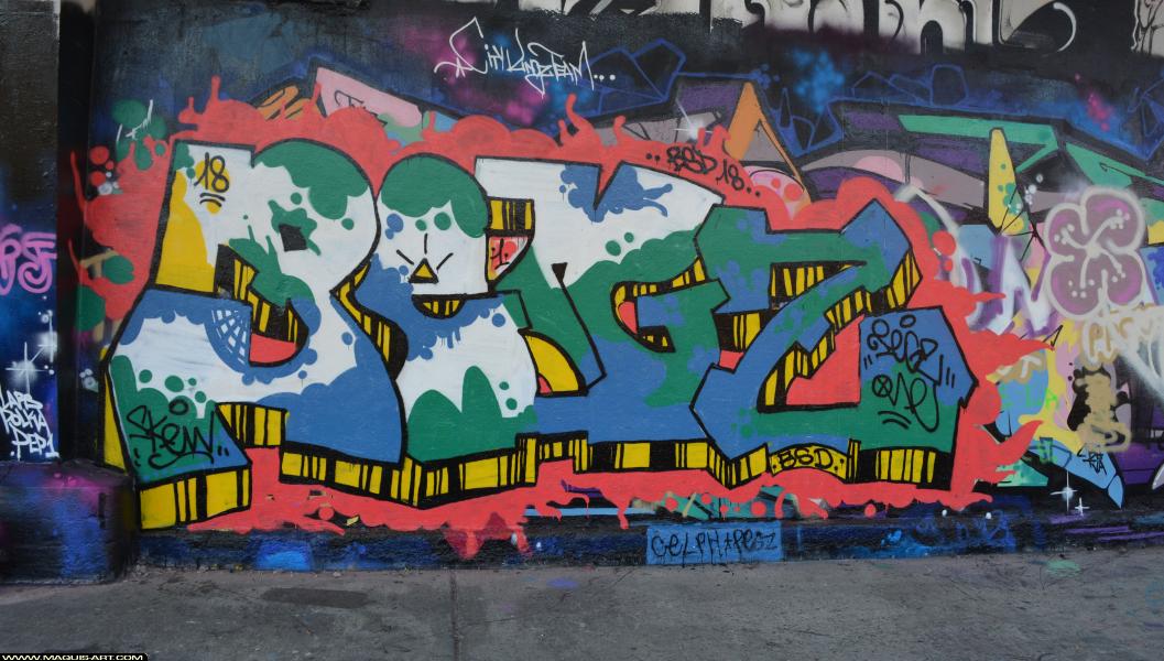 Graffiti de ??? à L'Aérosol Paris (3 mars 2018)