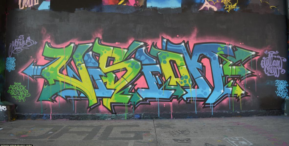 Graffiti de Vision à L'Aérosol Paris (3 mars 2018)