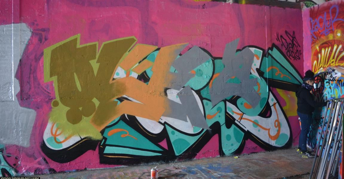Graffiti de ??? à L'Aérosol Paris (4 mars 2018)