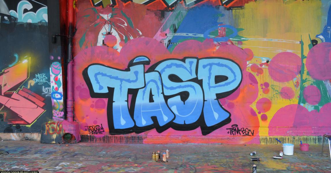 Graffiti de Tasp à L'Aérosol Paris (4 mars 2018)