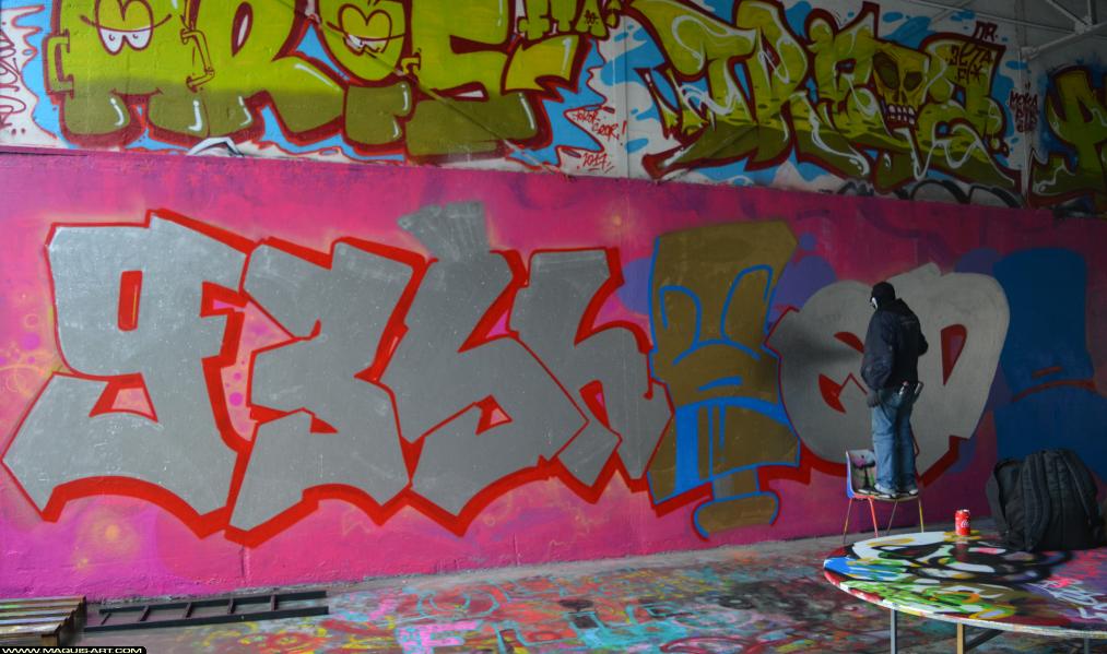 Graffiti de Sheed16 à L'Aérosol Paris (8 mars 2018)