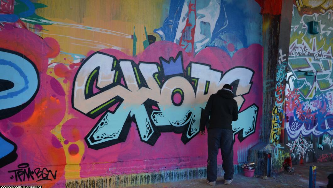 Graffiti de Shope à L'Aérosol Paris (8 mars 2018)