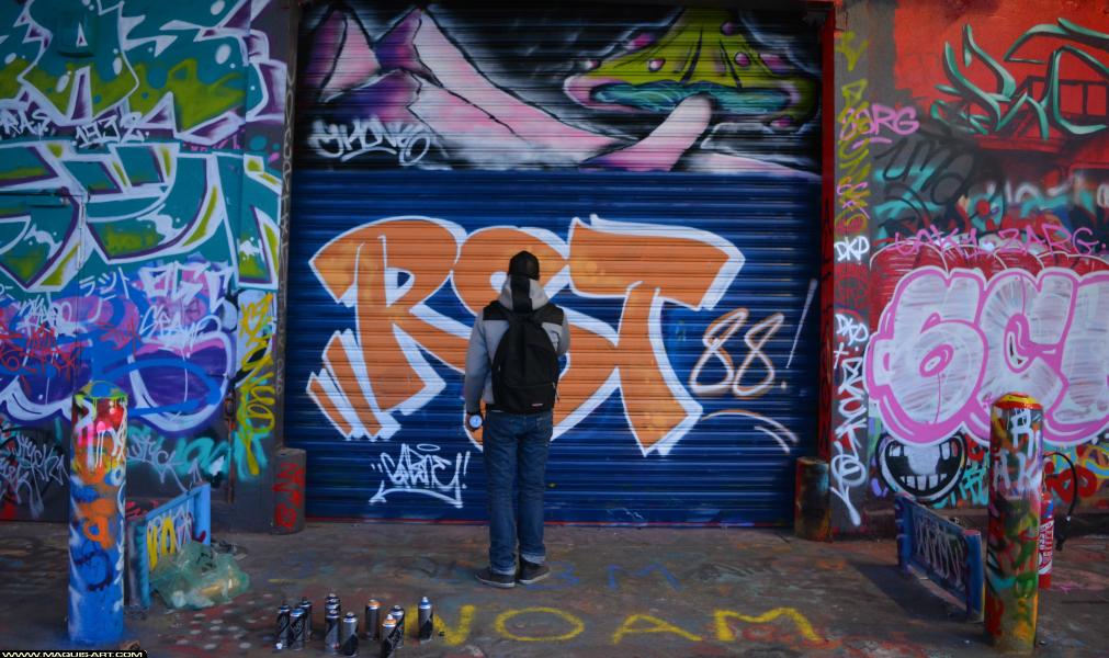 Gabone - Artiste Graffiti au Wall of Fame L'Aérosol