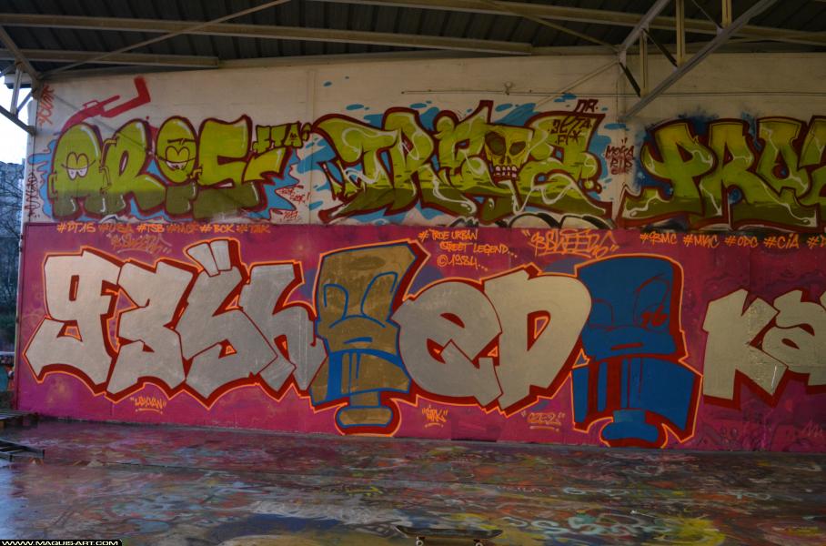 Graffiti de Sheed16 à L'Aérosol Paris (8 mars 2018)