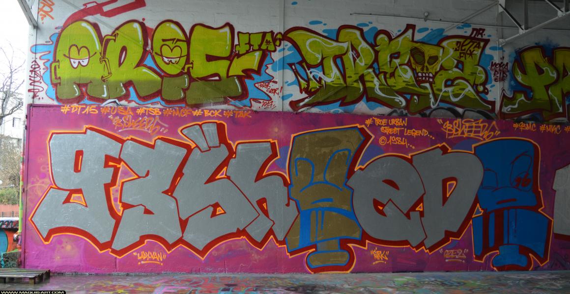 Graffiti à L'Aérosol Paris (8 mars 2018)