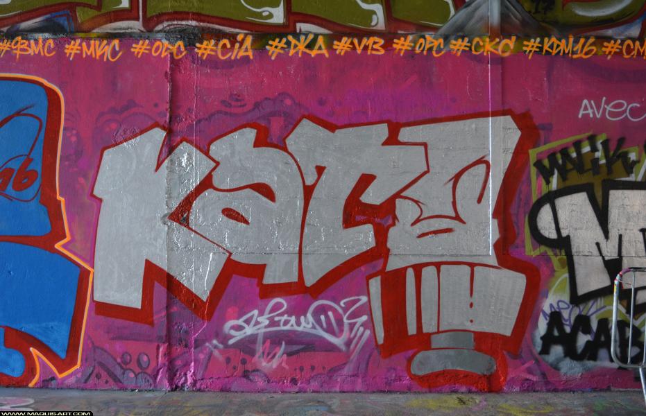 Oze - Artiste Graffiti au Wall of Fame L'Aérosol