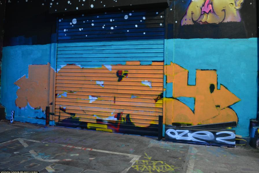 Graffiti de Dissy à L'Aérosol Paris (8 mars 2018)