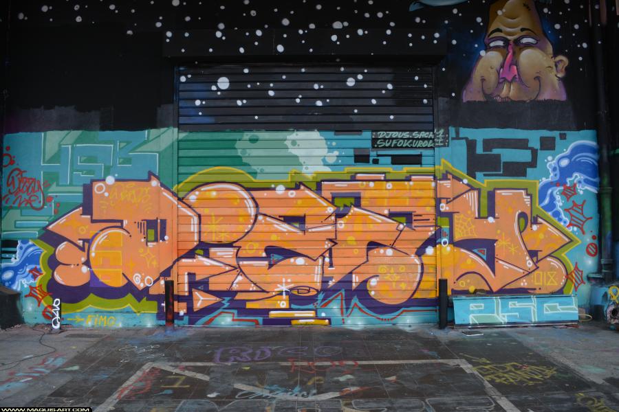 Graffiti de Dissy à L'Aérosol Paris (9 mars 2018)