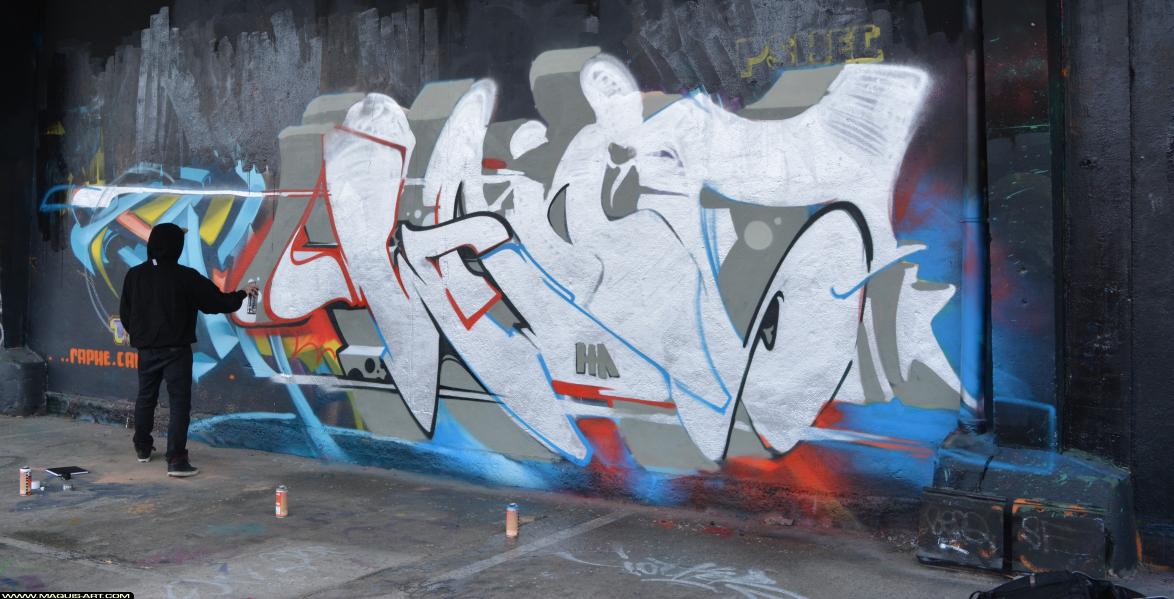 Graffiti de Wany à L'Aérosol Paris (9 mars 2018)