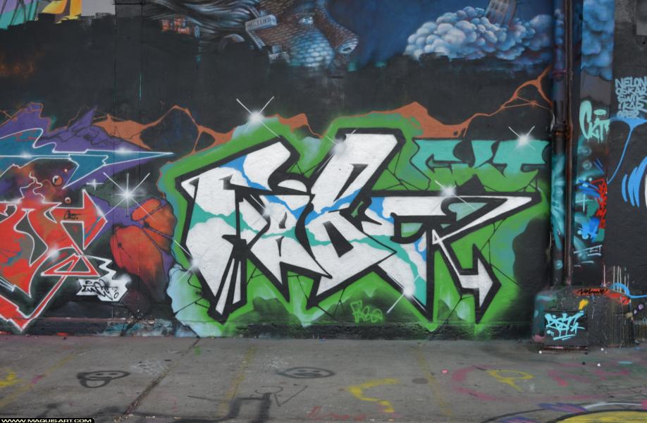 Graffiti de Fabe à L'Aérosol Paris (17 mars 2018)