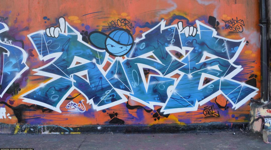 Graffiti de Size à L'Aérosol Paris (11 mars 2018)