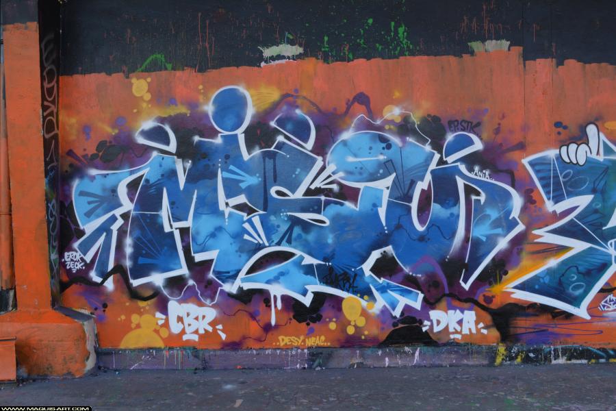 Graffiti de Misiu à L'Aérosol Paris (11 mars 2018)