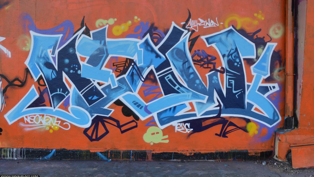 Graffiti de Neow à L'Aérosol Paris (11 mars 2018)