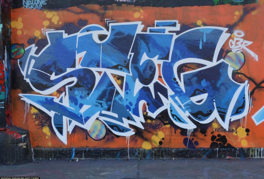 Graffiti de Steg à L'Aérosol Paris (11 mars 2018)
