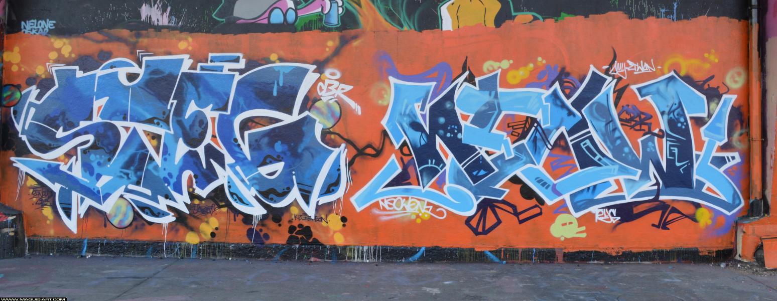 Graffiti de Steg et Neow à L'Aérosol Paris (11 mars 2018)