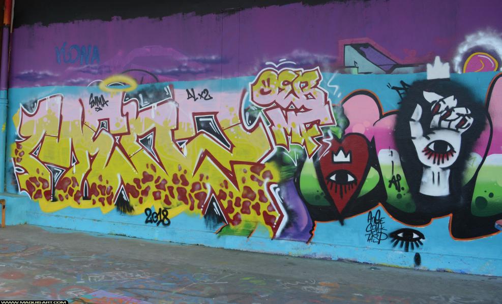 Graffiti de Menz à L'Aérosol Paris (12 mars 2018)