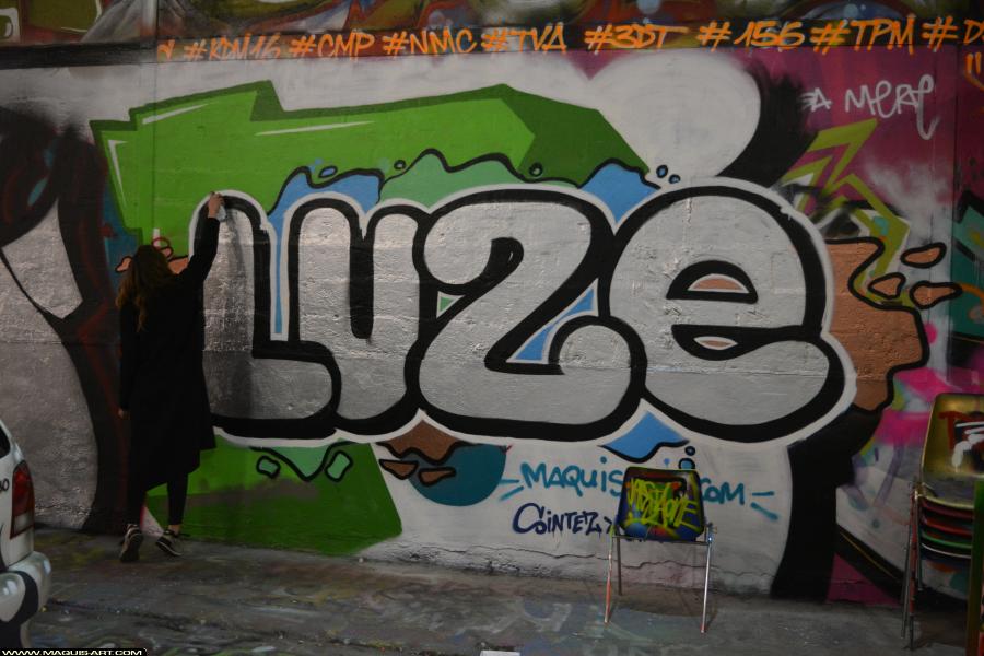 Graffiti de Luze à L'Aérosol Paris (13 mars 2018)