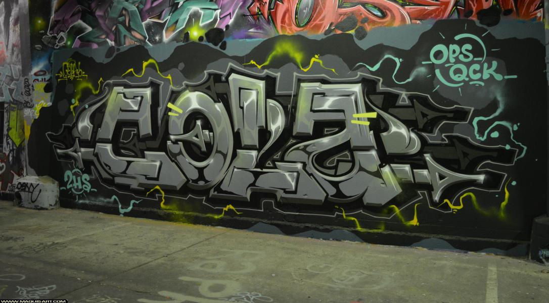 Cola - Artiste Graffiti au Wall of Fame L'Aérosol