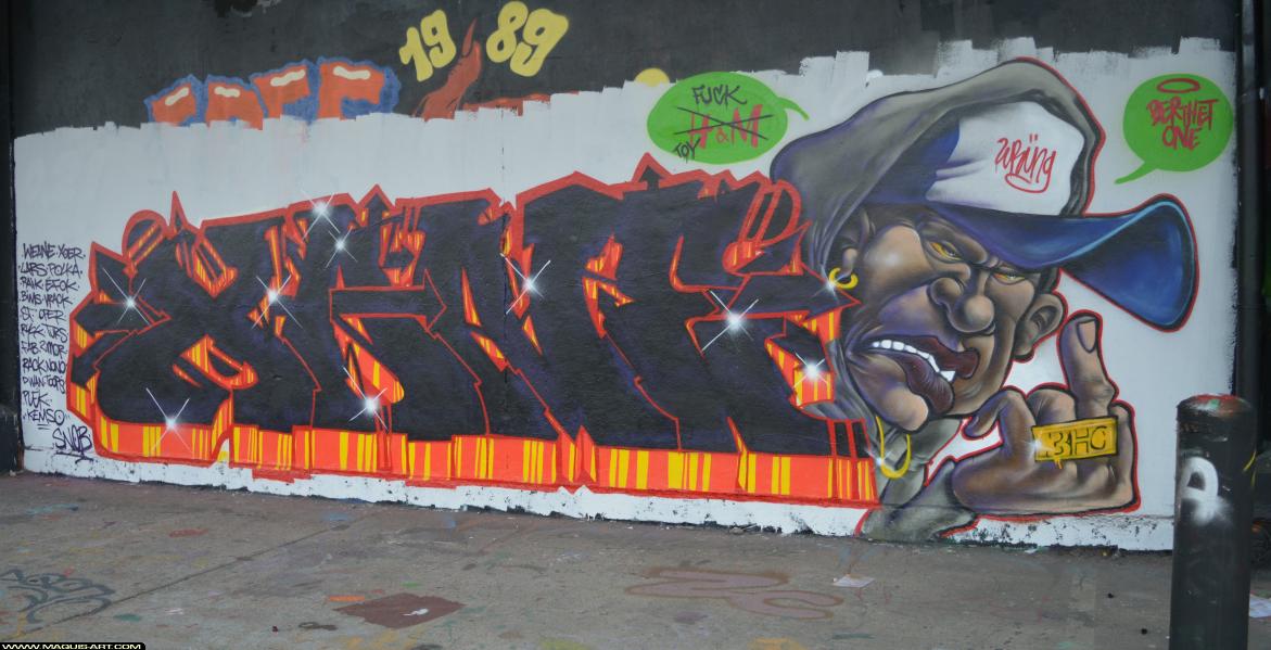 Graffiti de Xane à L'Aérosol Paris (14 mars 2018)