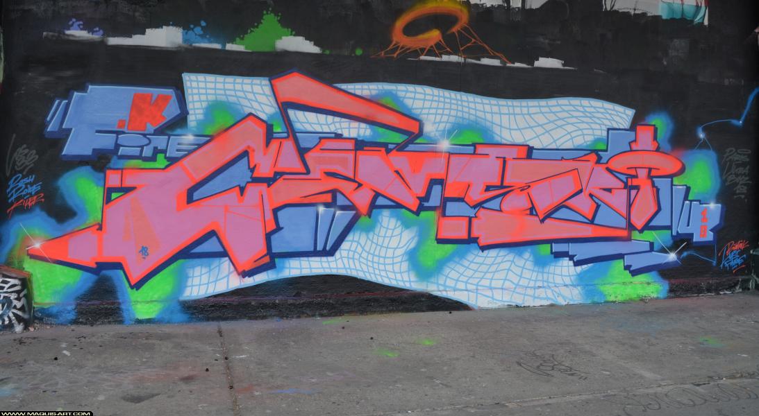 Graffiti de Demski à L'Aérosol Paris (14 mars 2018)