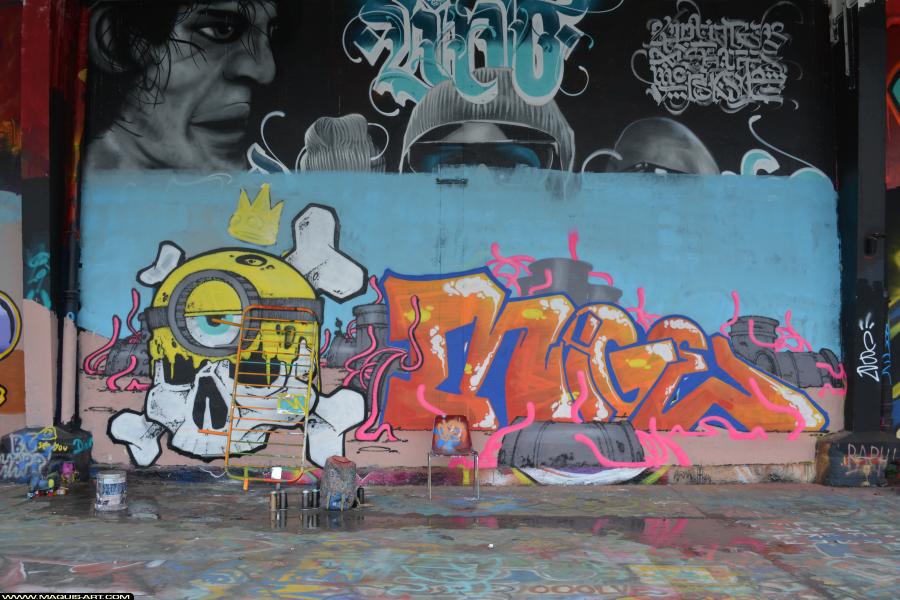 Graffiti de Mige à L'Aérosol Paris (15 mars 2018)