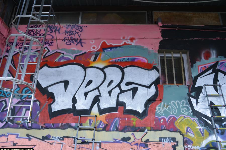 Graffiti de Dees à L'Aérosol Paris (17 mars 2018)