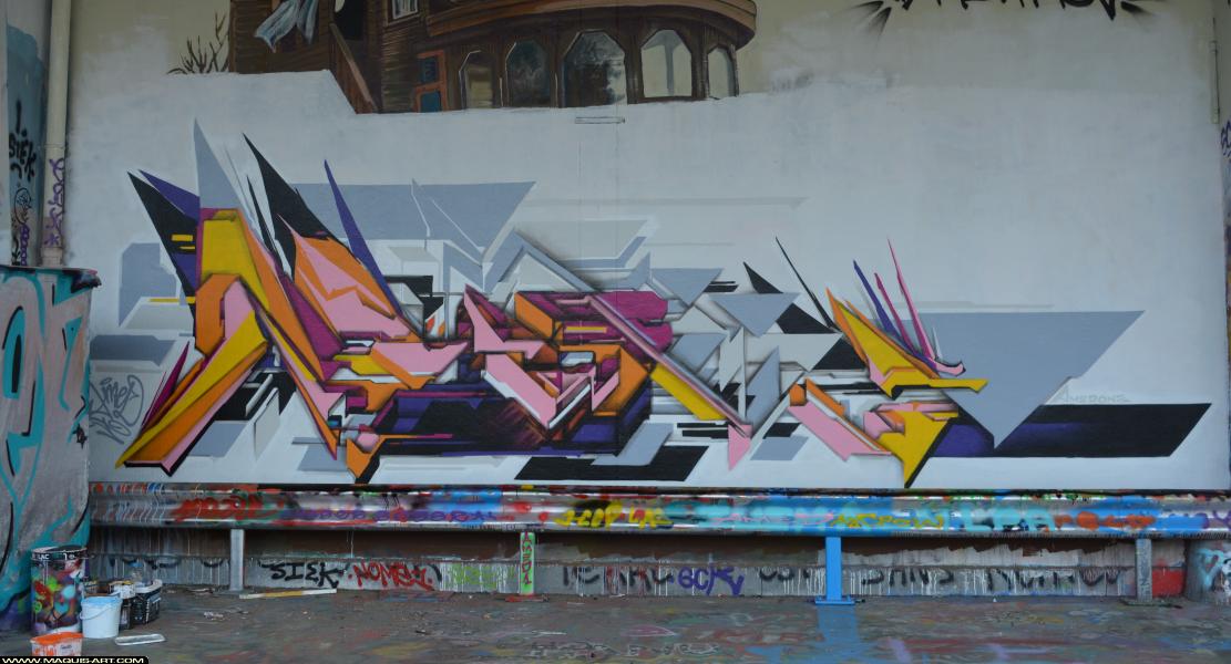 Graffiti à L'Aérosol Paris (24 mars 2018)