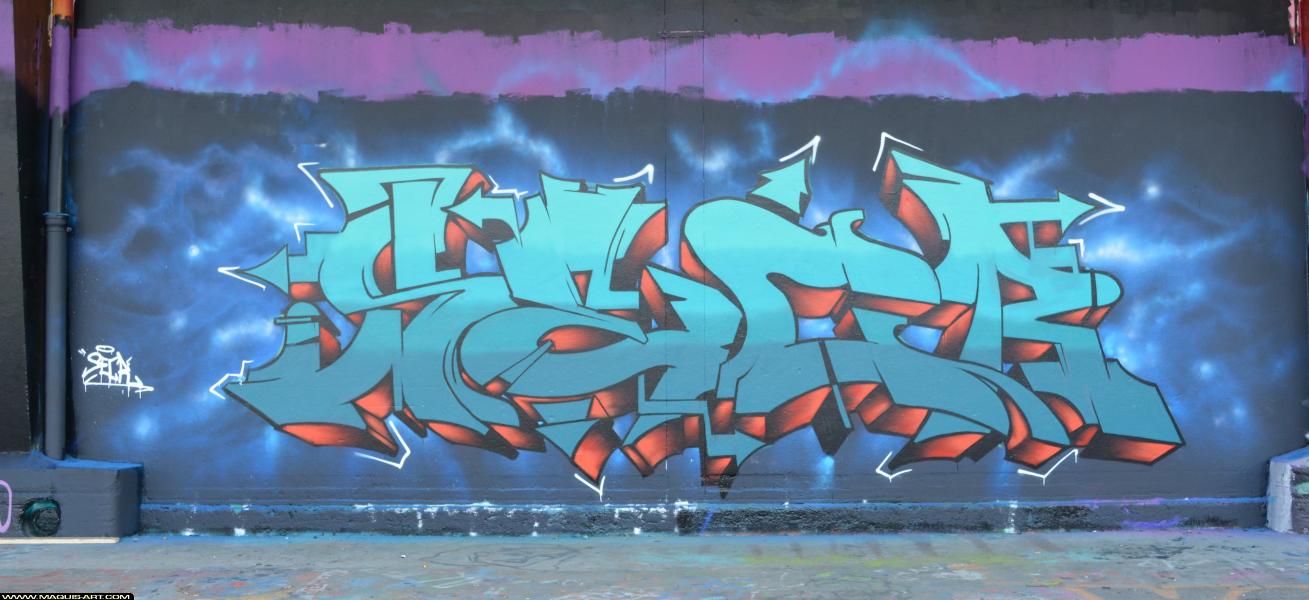 Graffiti de Secr à L'Aérosol Paris (23 mars 2018)