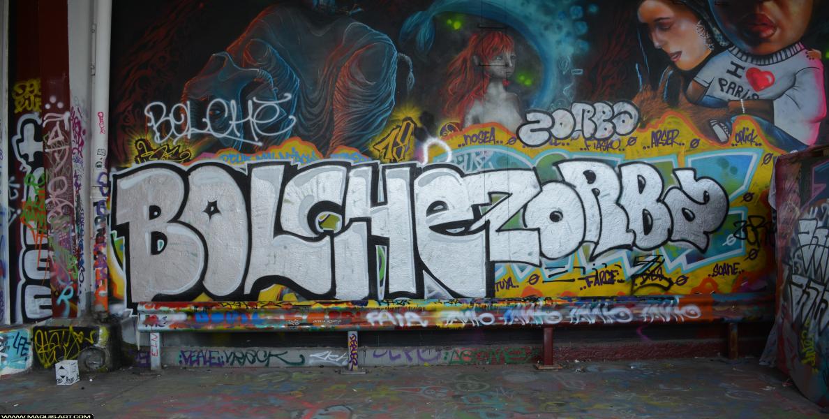 Graffiti de Bolche à L'Aérosol Paris (23 mars 2018)