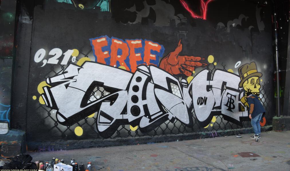 Graffiti de Shane à L'Aérosol Paris (23 mars 2018)