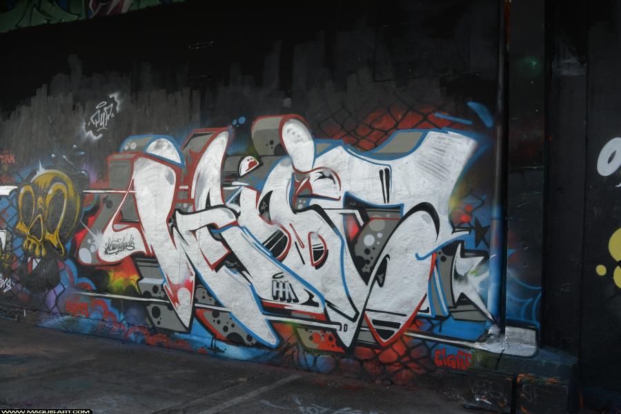 Wany - Artiste Graffiti au Wall of Fame L'Aérosol