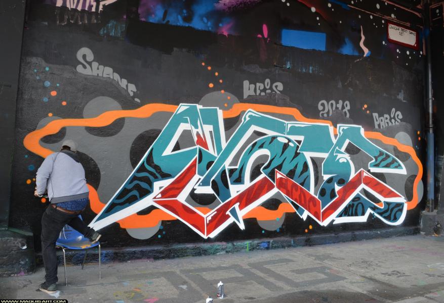 Graffiti à L'Aérosol Paris (25 mars 2018)