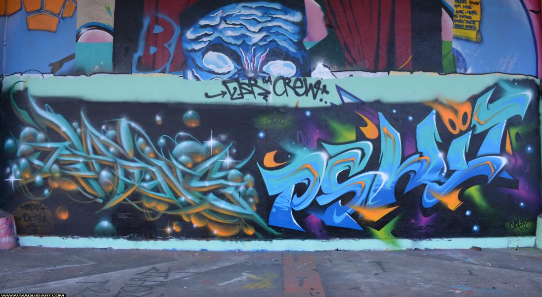 Graffiti de Pshit et Rains à L'Aérosol Paris (23 mars 2018)