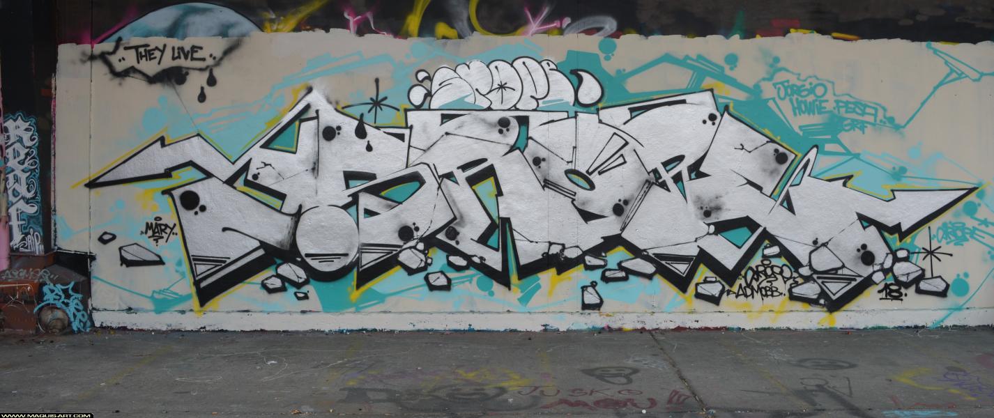 Graffiti de Srope à L'Aérosol Paris (25 mars 2018)