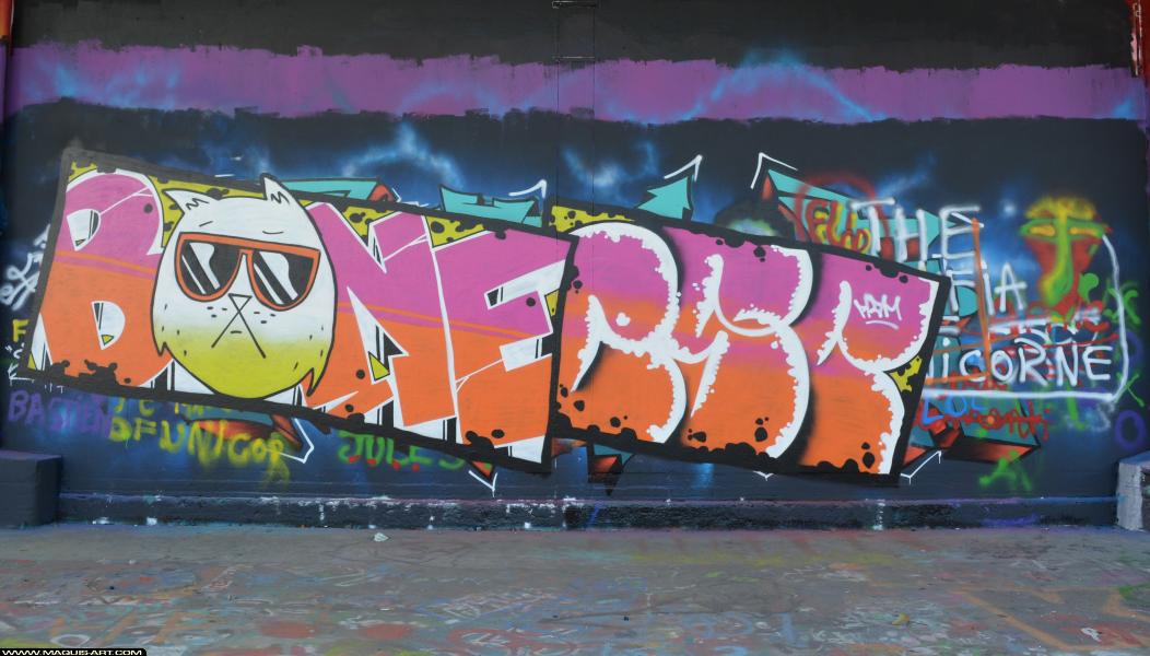 Bone - Artiste Graffiti au Wall of Fame L'Aérosol