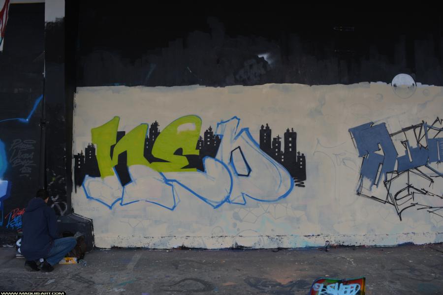 Graffiti de Neo à L'Aérosol Paris (31 mars 2018)