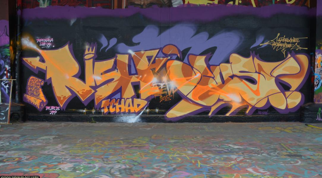 Rish - Artiste Graffiti au Wall of Fame L'Aérosol